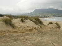 E, Cadiz, Tarifa, Bolonia, Duna de Bolonia 2, Saxifraga-Willem van Kruijsbergen