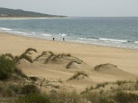 E, Cadiz, Tarifa, Bolonia, Duna de Bolonia 4, Saxifraga-Willem van Kruijsbergen