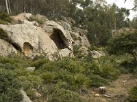 E, Cadiz, Tarifa, Bolonia, Sierra de la Plata 1, Saxifraga-Willem van Kruijsbergen