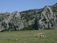 E, Cadiz, Villaluenga del Rosario, Llano del republicano 3, Saxifraga-Dirk Hilbers