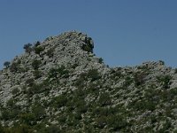 E, Cadiz, Villaluenga del Rosario, Sierra de Libar 2, Saxifraga-Dirk Hilbers