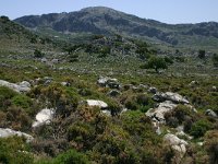 E, Cadiz, Villaluenga del Rosario, Sierra de Libar 3, Saxifraga-Dirk Hilbers