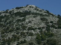 E, Cadiz, Villaluenga del Rosario, Sierra de Libar 9, Saxifraga-Dirk Hilbers