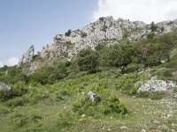 E, Cantabria, Camaleno, Brez 13, Saxifraga-Willem van Kruijsbergen