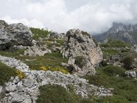 E, Cantabria, Camaleno, Brez 15, Saxifraga-Willem van Kruijsbergen