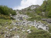 E, Cantabria, Camaleno, Brez 19, Saxifraga-Willem van Kruijsbergen