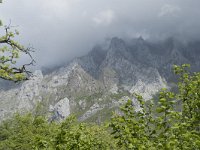 E, Cantabria, Camaleno, Brez 21, Saxifraga-Willem van Kruijsbergen