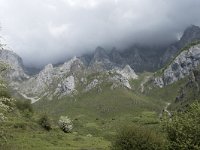 E, Cantabria, Camaleno, Brez 30, Saxifraga-Willem van Kruijsbergen