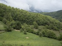 E, Cantabria, Camaleno, Brez 7, Saxifraga-Willem van Kruijsbergen