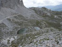 E, Cantabria, Camaleno, Fuente De 129, Saxifraga-Willem van Kruijsbergen