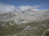 E, Cantabria, Camaleno, Fuente De 14, Saxifraga-Willem van Kruijsbergen