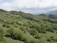 E, Cantabria, Camaleno, Fuente De 74, Saxifraga-Willem van Kruijsbergen