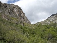 E, Cantabria, Camaleno, Fuente De 75, Saxifraga-Willem van Kruijsbergen