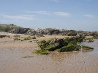 E, Cantabria, Liencres, Dunas de Liencres 18, Saxifraga-Willem van Kruijsbergen