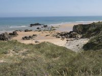 E, Cantabria, Liencres, Dunas de Liencres 2, Saxifraga-Willem van Kruijsbergen