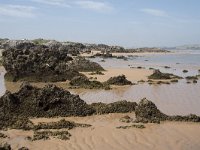 E, Cantabria, Liencres, Dunas de Liencres 20, Saxifraga-Willem van Kruijsbergen