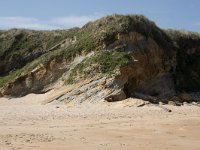 E, Cantabria, Liencres, Dunas de Liencres 27, Saxifraga-Willem van Kruijsbergen