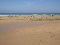 E, Cantabria, Liencres, Dunas de Liencres 36, Saxifraga-Willem van Kruijsbergen