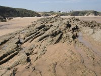 E, Cantabria, Liencres, Dunas de Liencres 37, Saxifraga-Willem van Kruijsbergen