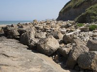 E, Cantabria, Liencres, Dunas de Liencres 45, Saxifraga-Willem van Kruijsbergen