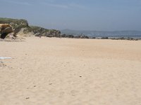 E, Cantabria, Liencres, Dunas de Liencres 46, Saxifraga-Willem van Kruijsbergen