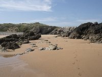 E, Cantabria, Liencres, Dunas de Liencres 7, Saxifraga-Willem van Kruijsbergen