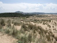 E, Cantabria, Liencres, Dunas de Liencres 80, Saxifraga-Willem van Kruijsbergen