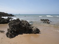 E, Cantabria, Liencres, Dunas de Liencres 84, Saxifraga-Willem van Kruijsbergen