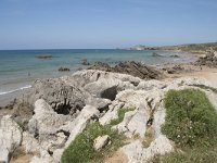 E, Cantabria, Liencres, Dunas de Liencres 95, Saxifraga-Willem van Kruijsbergen