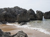 E, Cantabria, Liencres, Dunas de Liencres 98, Saxifraga-Willem van Kruijsbergen