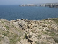 E, Cantabria, Liencres, Punta de San Juan de la Canal 2, Saxifraga-Willem van Kruijsbergen