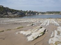 E, Cantabria, Liencres, Punta del Pino 1, Saxifraga-Willem van Kruijsbergen