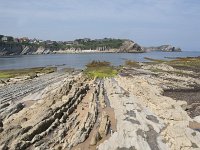 E, Cantabria, Liencres, Punta del Pino 11, Saxifraga-Willem van Kruijsbergen