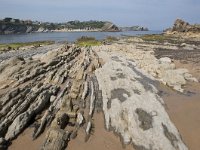 E, Cantabria, Liencres, Punta del Pino 12, Saxifraga-Willem van Kruijsbergen