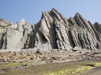 E, Cantabria, Liencres, Punta del Pino 35, Saxifraga-Willem van Kruijsbergen