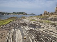 E, Cantabria, Liencres, Punta del Pino 39, Saxifraga-Willem van Kruijsbergen