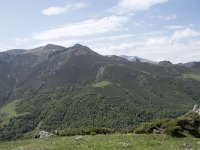 E, Cantabria, Vega de Liebana, Puerto de San Glorio 18, Saxifraga-Willem van Kruijsbergen