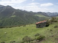 E, Cantabria, Vega de Liebana, Puerto de San Glorio 19, Saxifraga-Willem van Kruijsbergen