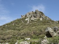 E, Cantabria, Vega de Liebana, Puerto de San Glorio 8, Saxifraga-Willem van Kruijsbergen