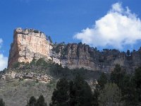 E, Cuenca, Buenache de la Sierra 2, Saxifraga-Jan van der Straaten