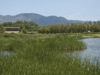 E, Girona, Castello d Empuries, Estany de Europa 11, Saxifraga-Marijke Verhagen