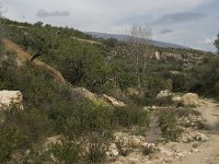 E, Granada, Albunuelas, El Valla 8, Saxifraga-Willem van Kruijsbergen