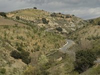 E, Granada, Cadiar 5, Saxifraga-Jan van der Straaten