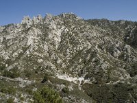 E, Granada, Jete, Meson Prados de Lopera 17, Saxifraga-Willem van Kruijsbergen