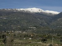 E, Granada, Orgiva 4, Saxifraga-Jan van der Straaten