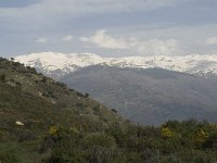 E, Granada, Orgiva, Sierra de Lujar 1, Saxifraga-Jan van der Straaten