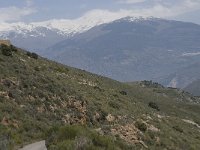 E, Granada, Orgiva, Sierra de Lujar, Olias 16, Saxifraga-Willem van Kruijsbergen