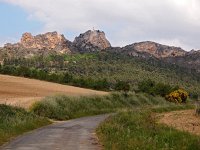 E, La Rioja, Haro 3, Saxifraga-Hans Dekker