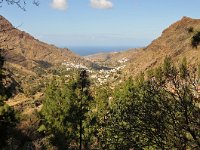 E, Las Palmas, Agaete, Valle de Agaete 6, Saxifraga-Tom Heijnen