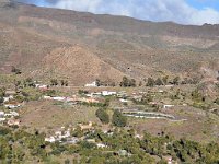 E, Las Palmas, San Bartolome de Tirajana, near San Bartolome de Tirajana village 6, Saxifraga-Tom Heijnen